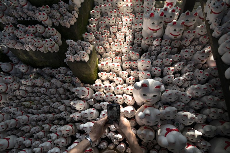 Countless lucky cats beckon at Tokyo temple