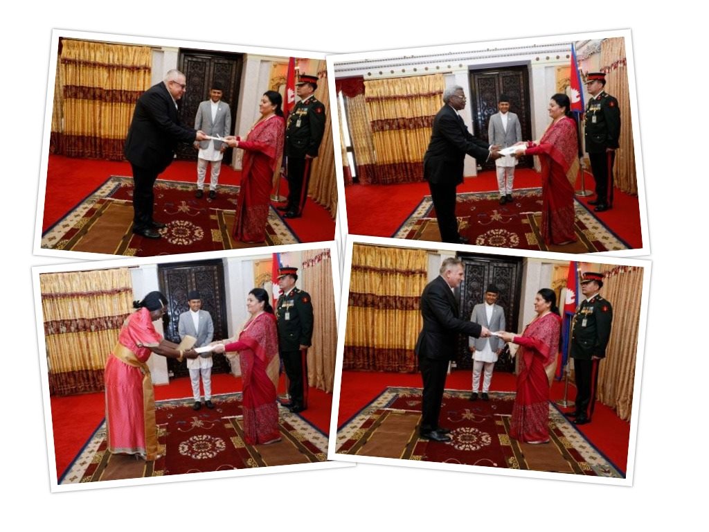 Ambassadors present credentials to President
