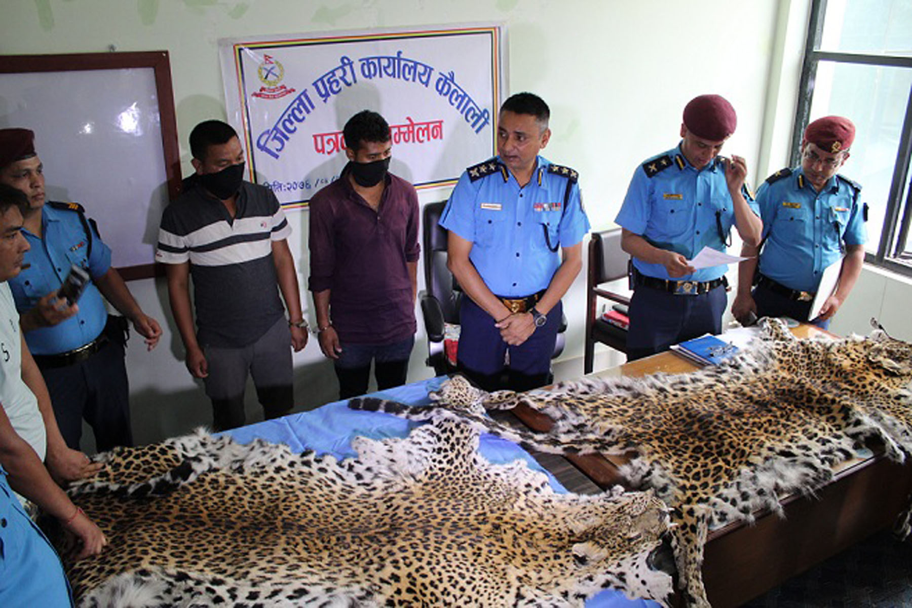 Two held with leopard hides