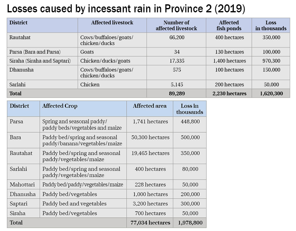 Province 2 suffers agro loss worth Rs 3.59b due to floods, landslides