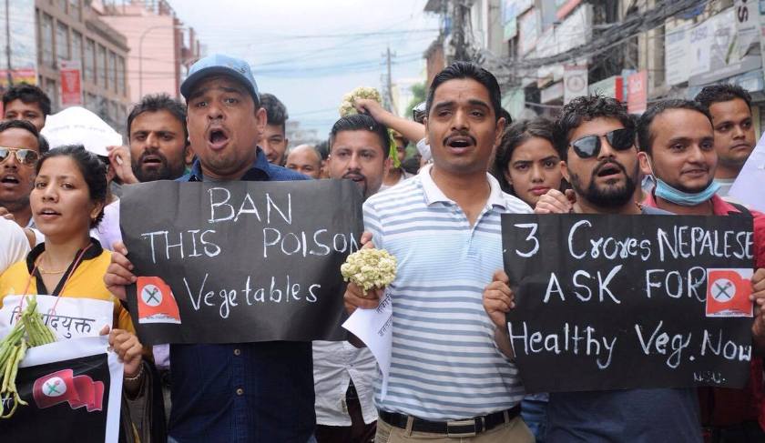 NSU takes to street against govt decision to revoke pesticide tests for fruits, veggies imported from India (with photos)