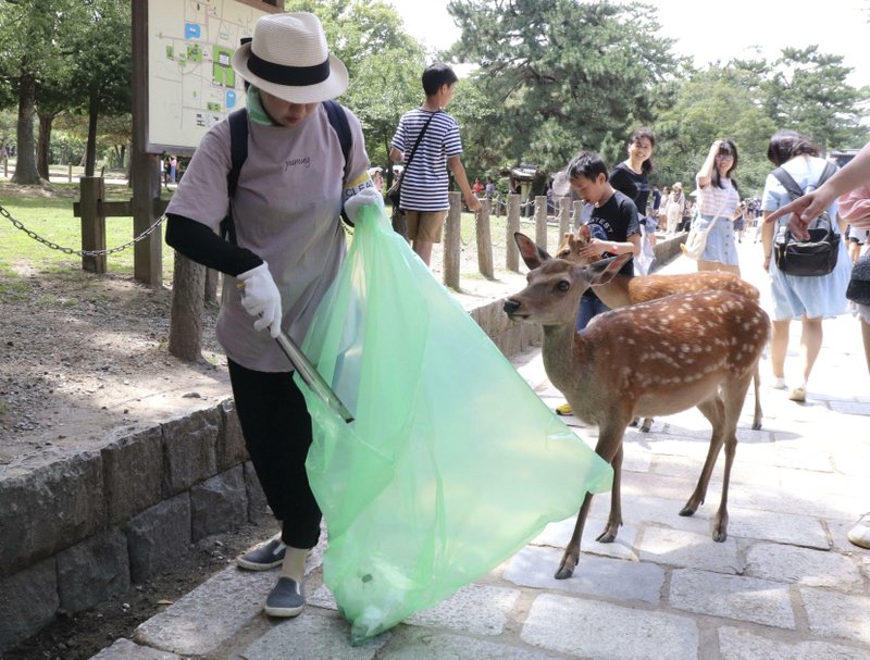 9 deer at famed park in Japan die after eating plastic bags