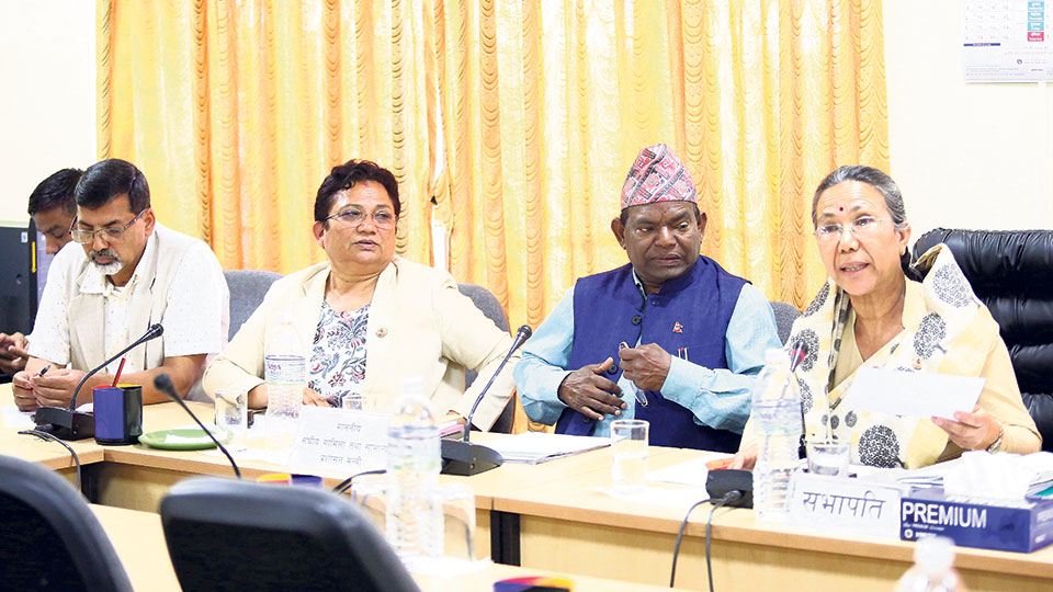 NCP MPs divided along UML-Maoist fault line on disputed bills, issues