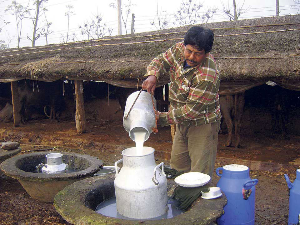 Chitwan becomes self-sufficient in milk