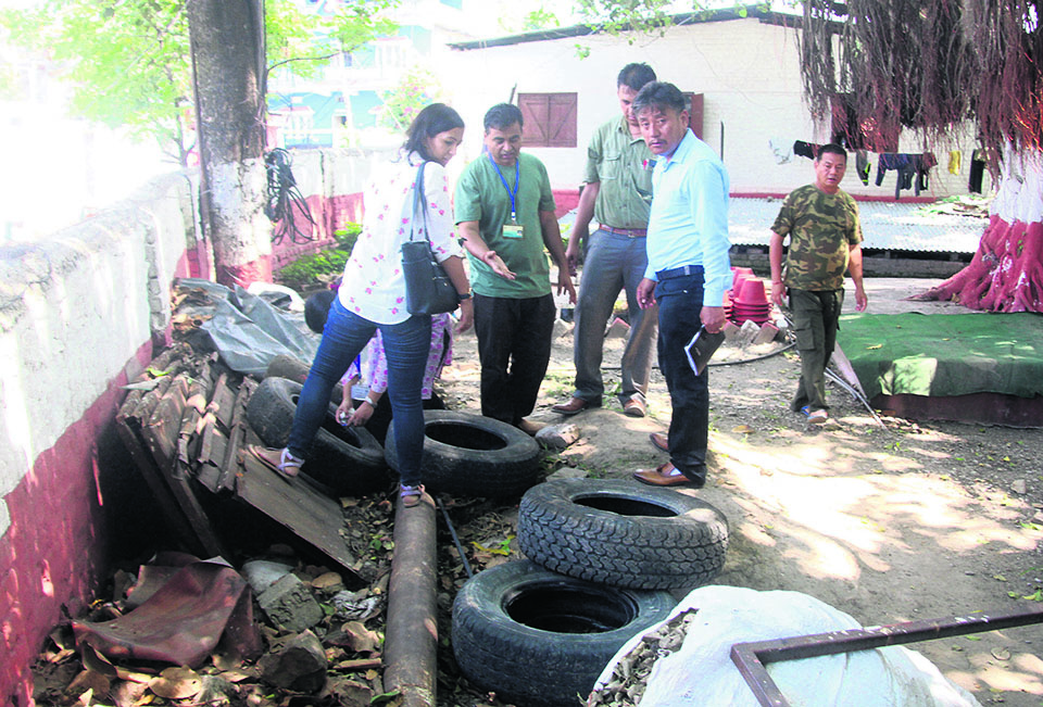 Dengue-hit Dharan destroying mosquito breeding grounds