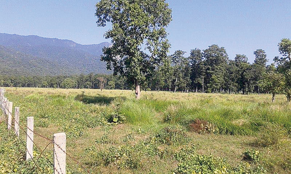 Kailali industrial estate project in limbo