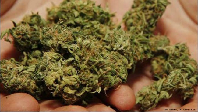 Police seize 90 kilos cannabis in Chitwan
