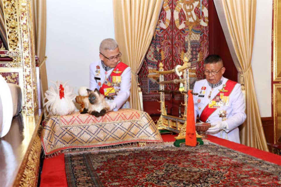 Fake mews? Confusion over cat at Thai king's coronation ceremony