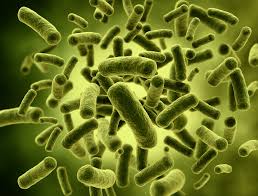 Coliform in water caused cholera case in capital