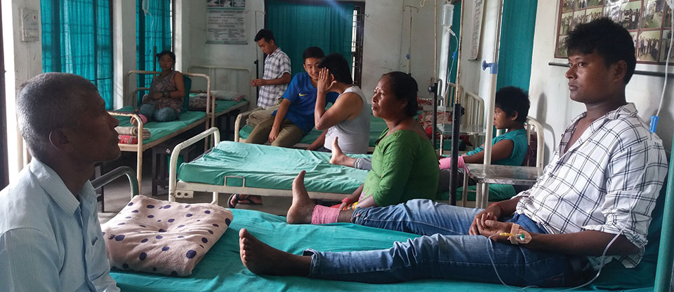 Snakebite patients in eastern Nepal dying due to lack of timely treatment