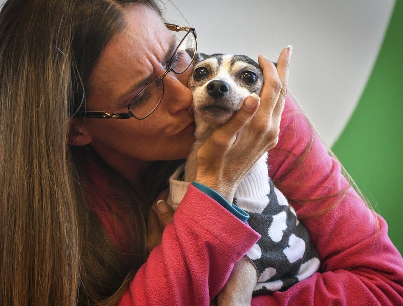 Dog lost since 2007 found over 1K miles away in Pittsburgh