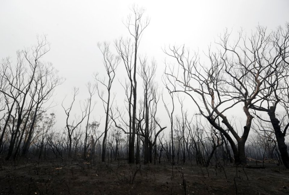 Australia commits billions of dollars to wildfire recovery