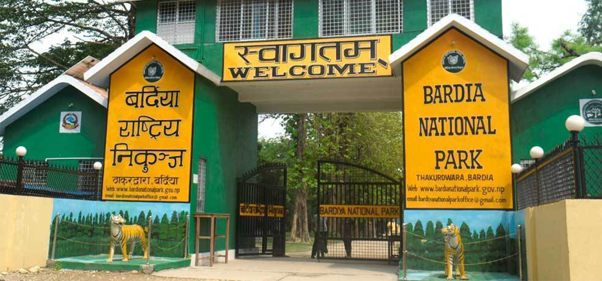 Tigers main attraction for foreign, domestic tourists in BNP