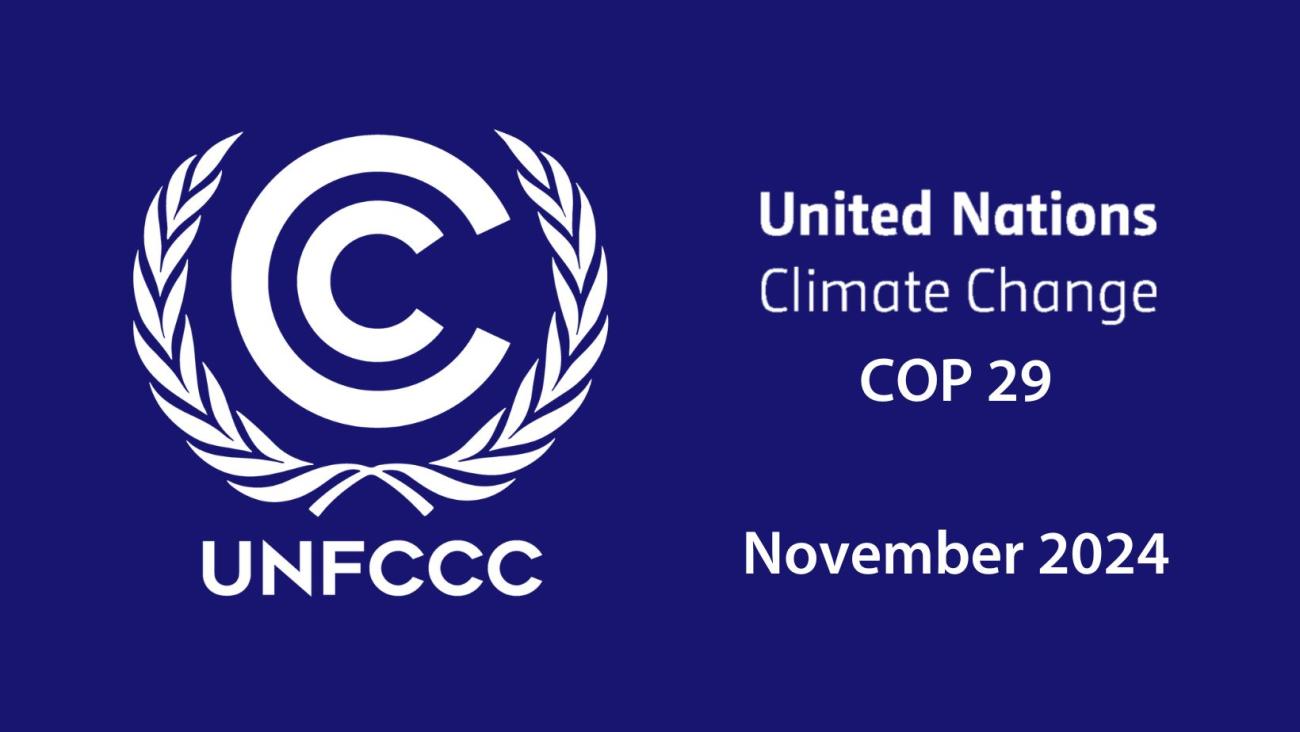 Parliamentary committee instructs govt authorities to accelerate preparation for COP-29