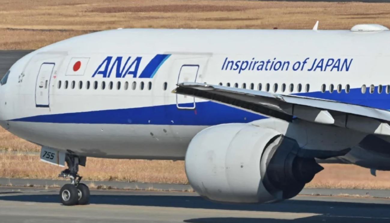 Japan plane turns back after man bites cabin attendant