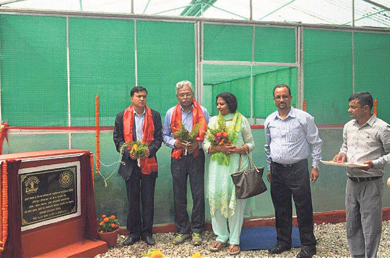 Dabur Nepal hands over greenhouse to PADT