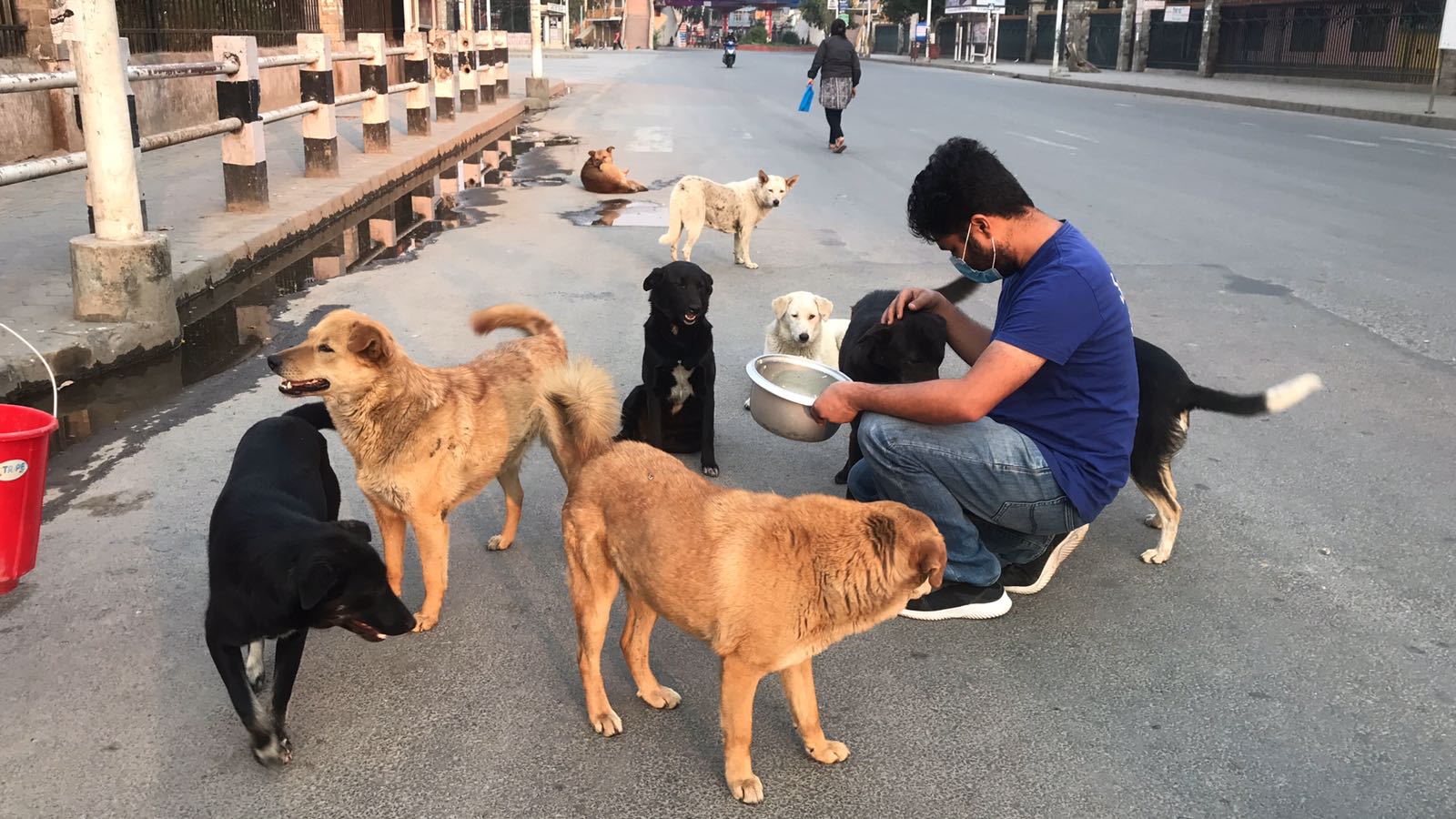 Showing Humanity Toward Street Dogs