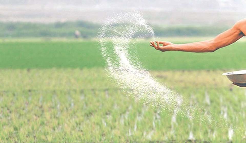 Fertilizers to be distributed from June 20