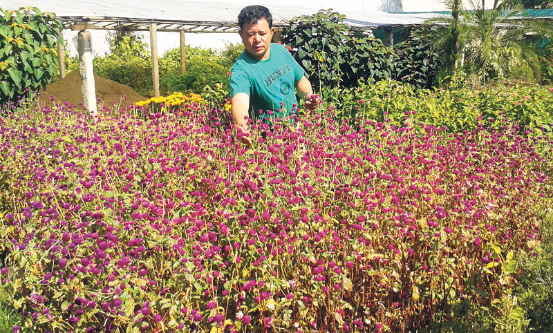 Despite growth potential, floristry remains unpopular