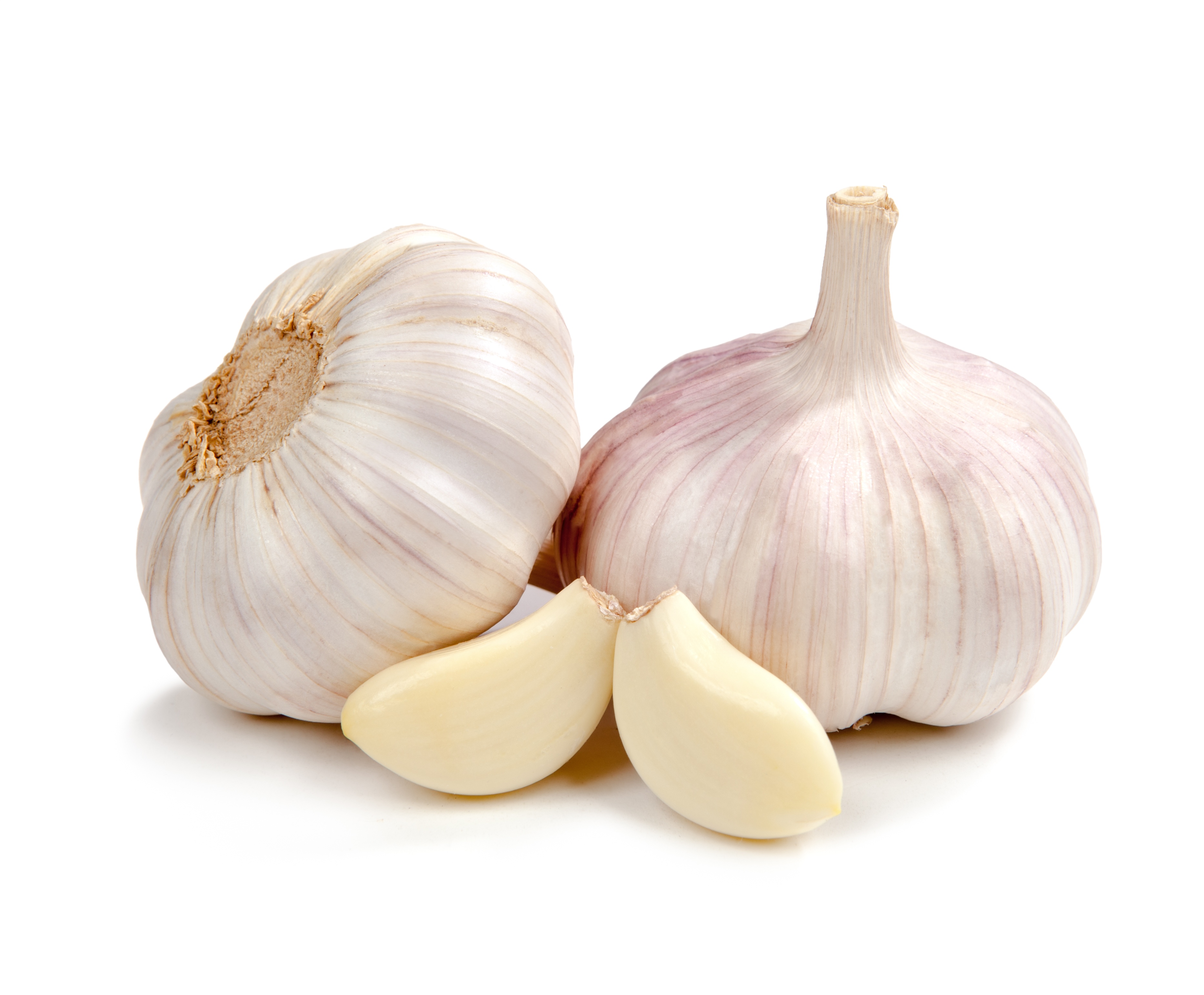 Garlic not getting good market value