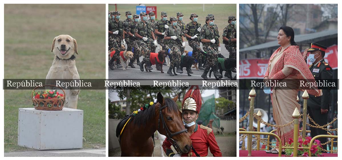 Ghode Jatra celebrations in Kathmandu (With Photos)