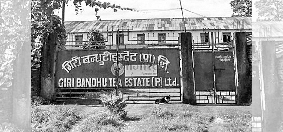 Govt will investigate Giri Bandhu Tea Estate case: PM Dahal