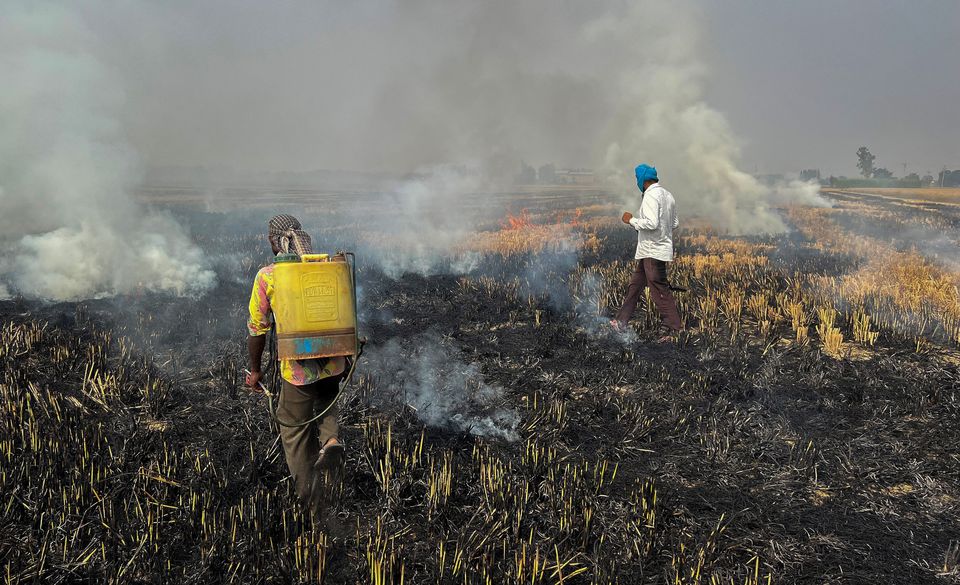 Farmers cite lack of options as stubble burning turns air toxic in northern India