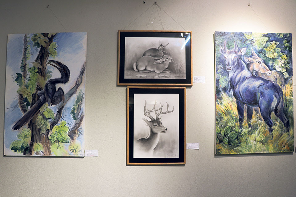 ‘Art for Nature’  pushes conservation