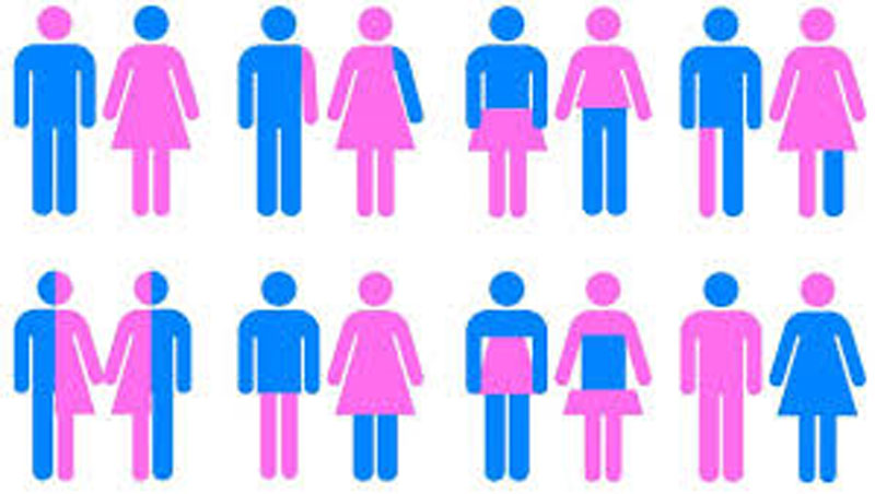 Infographics: How different countries feel about transgender rights