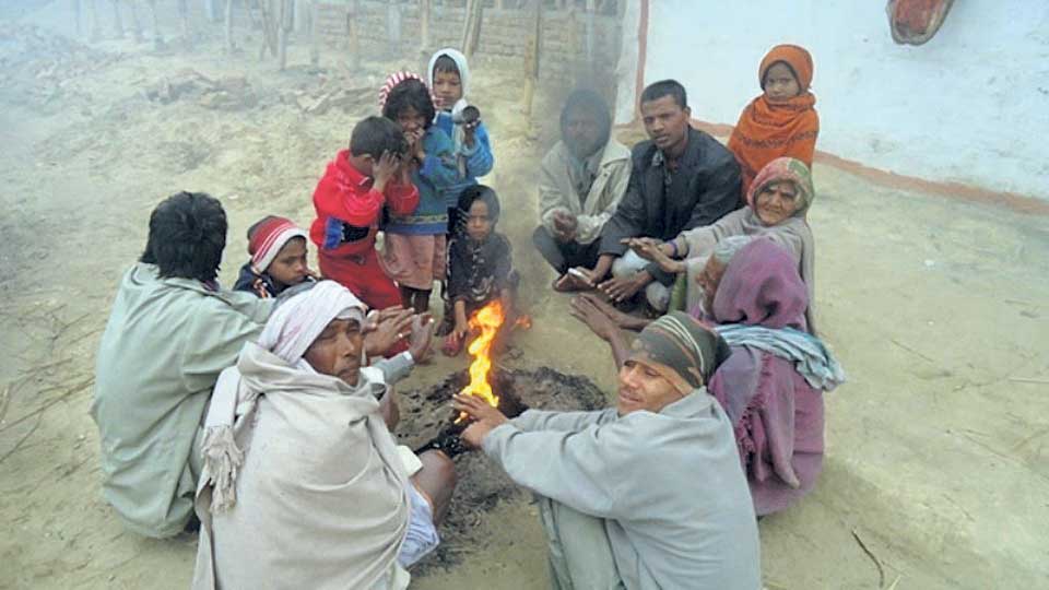 Cold hits life hard in tarai districts