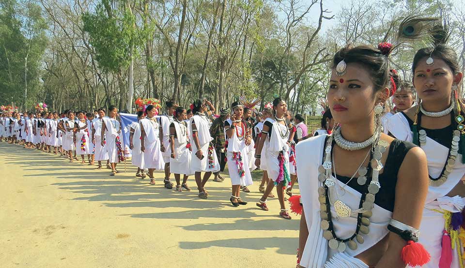Glimpses of Pokhara Street Festival,Chitwan’s Hatti Mahottsav