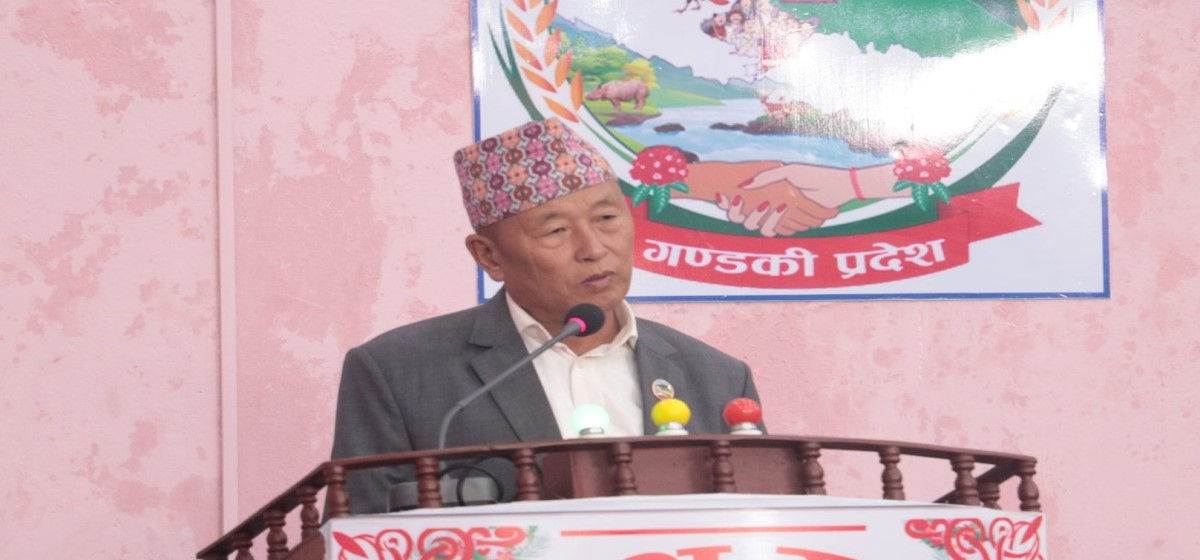 Gandaki Province Assembly member Thapa again relieved of his  post