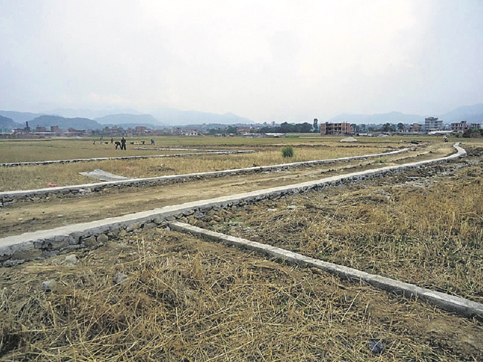 Land Management Ministry decides to open plotting, splitting of land
