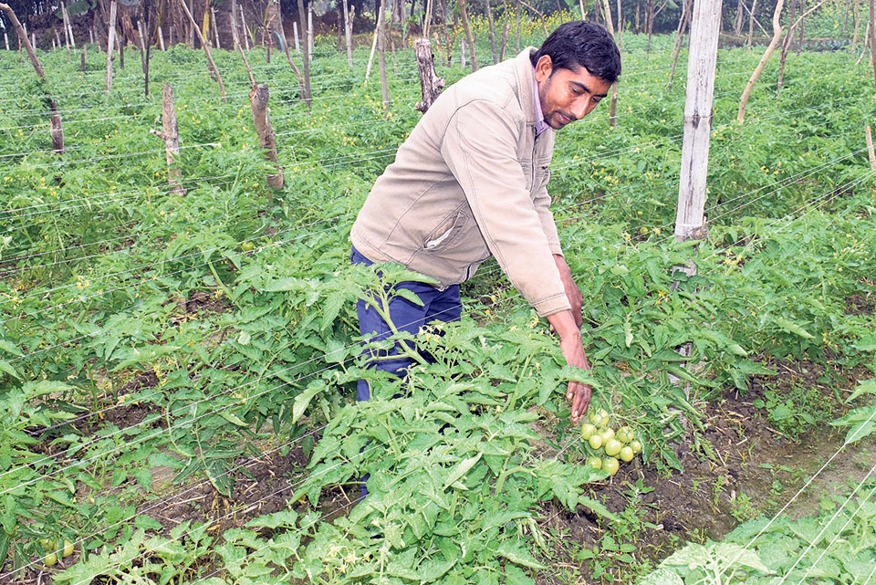 Modern technology helps Marchwar farmers earn more