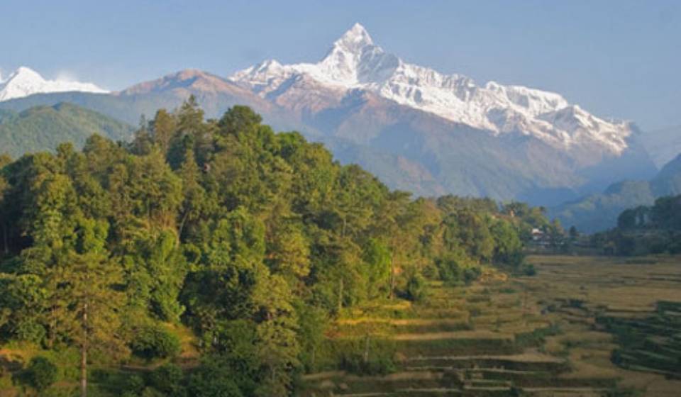 Commercializing Mountain Agriculture in Nepal