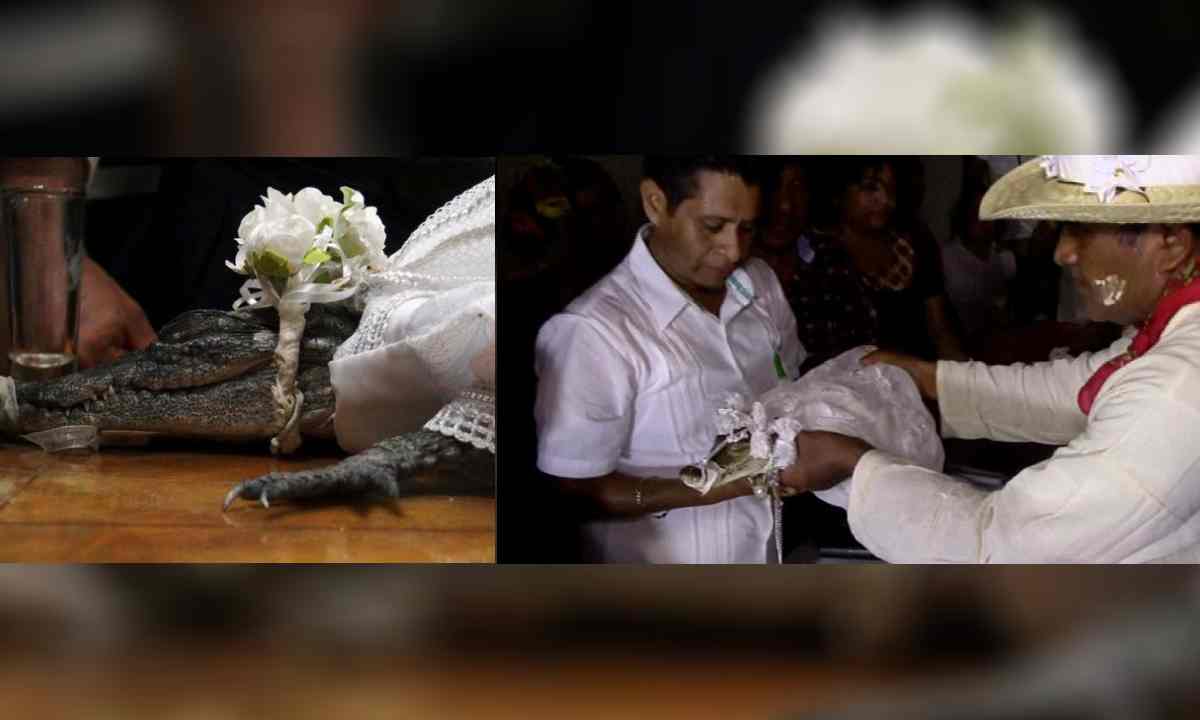 In age-old ritual, Mexican mayor weds alligator to secure abundance