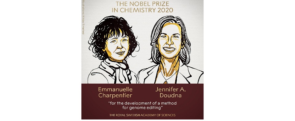 Nobel Prize for chemistry awarded to Charpentier and Doudna