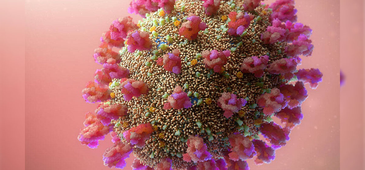 Sudurpaschim Province on high alert over possible spread of ‘Omicron’ coronavirus variant