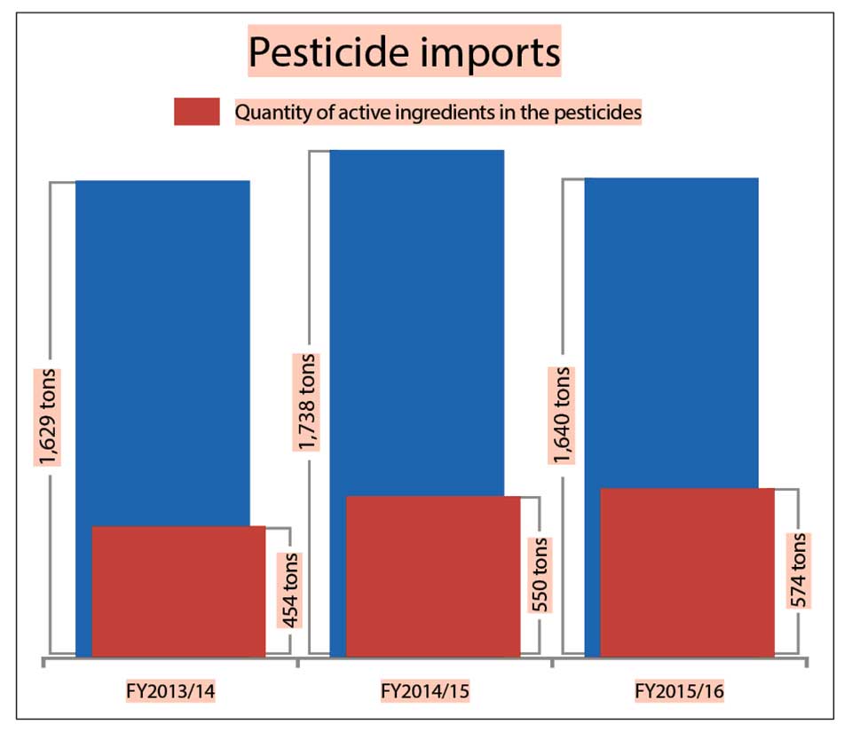 Use of pesticides still rampant