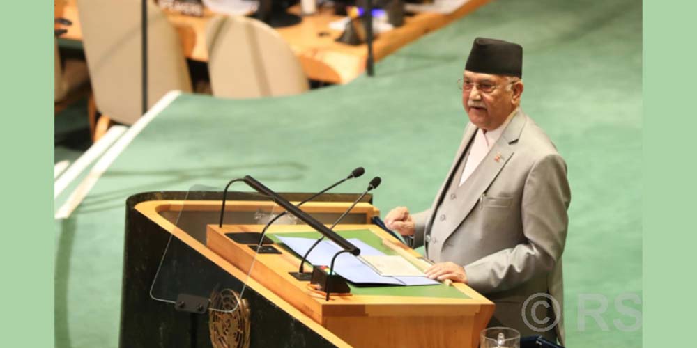 Nepal's Contributions to Global Health and Peace