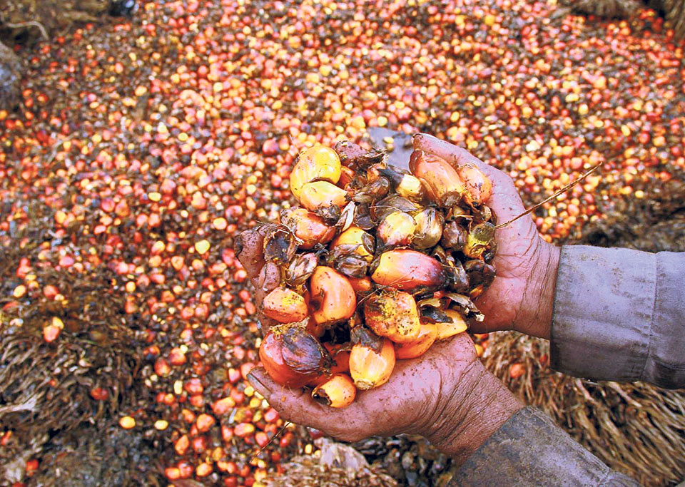 Govt plans to send high-level delegation to India to ease restriction on palm oil export