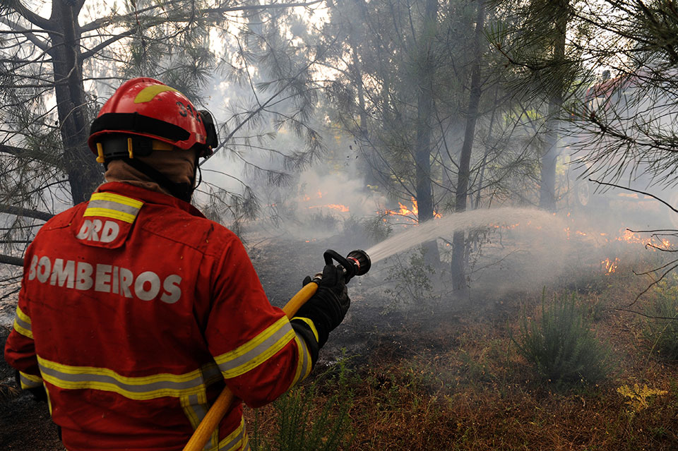 Forest fire kills 62 in Portugal; search on for more bodies