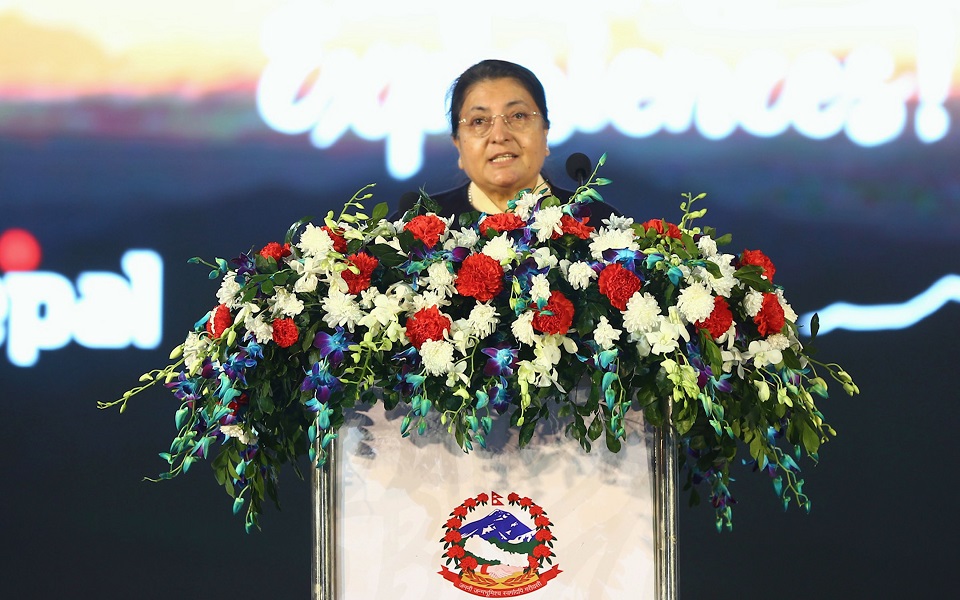 Let us play our role honestly to materialize martyrs' dream: President Bhandari