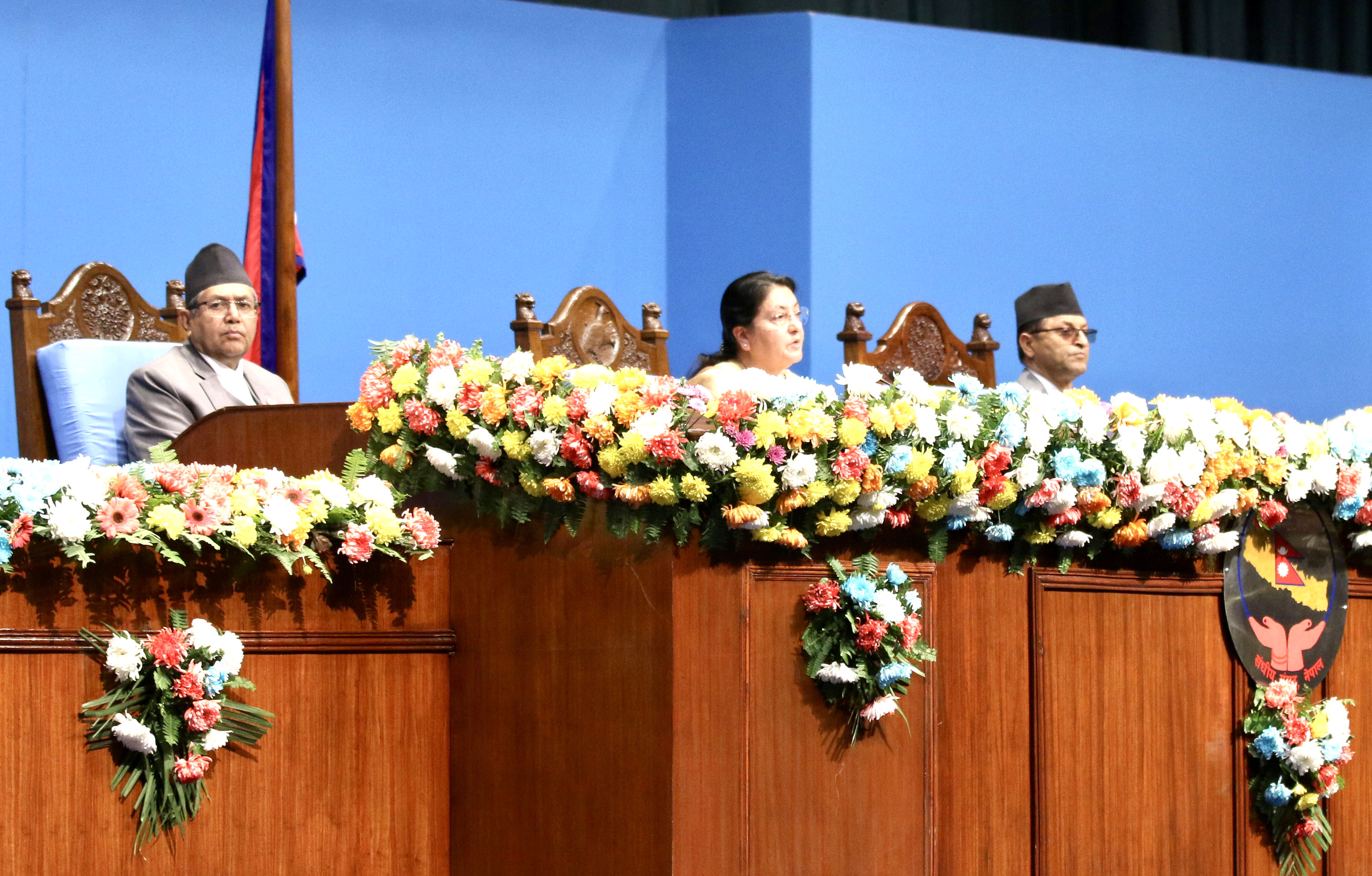 President Bhandari roots for coordinated efforts to boost domestic production