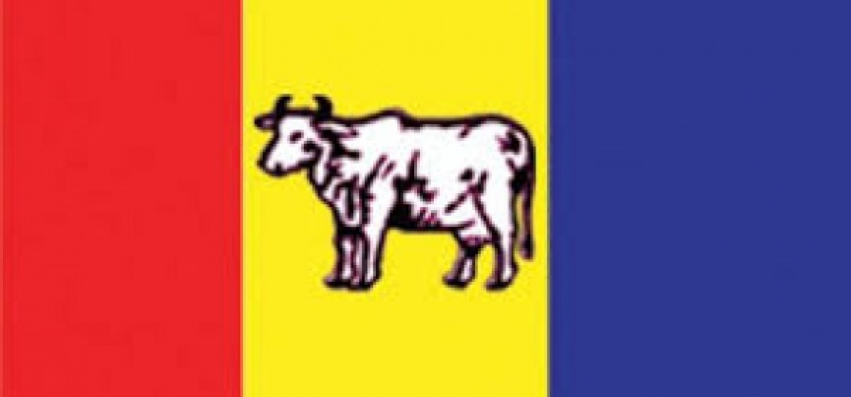 RPP holds convention in 65 districts