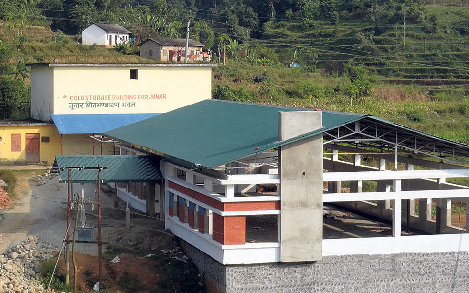 Sindhuli fruit processing plant in limbo