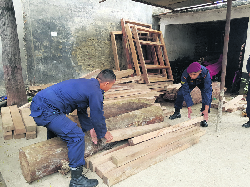 Timber smuggling goes unchecked in Banke