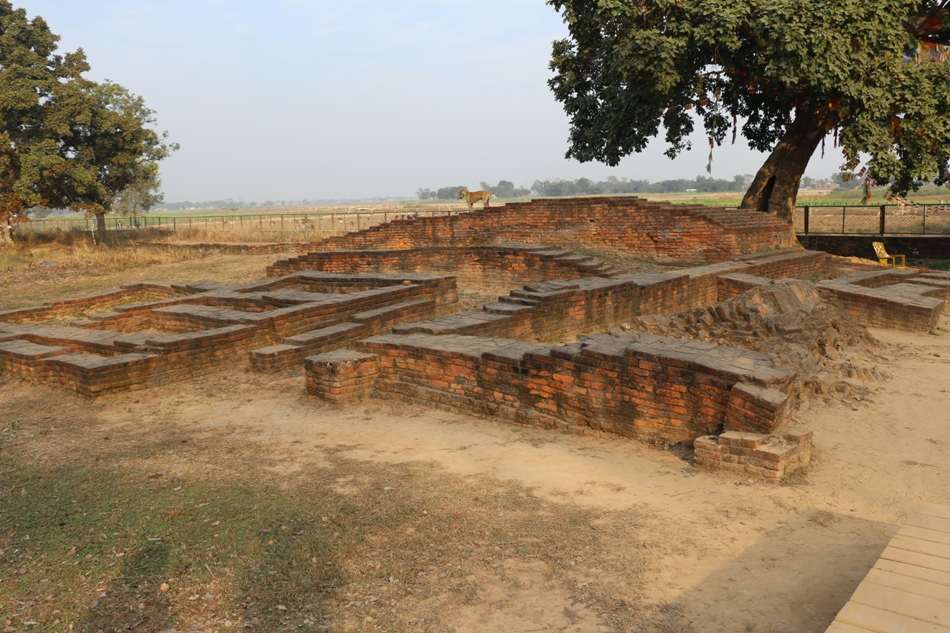 Department of Archeology expedites further land acquisition in Tilaurakot