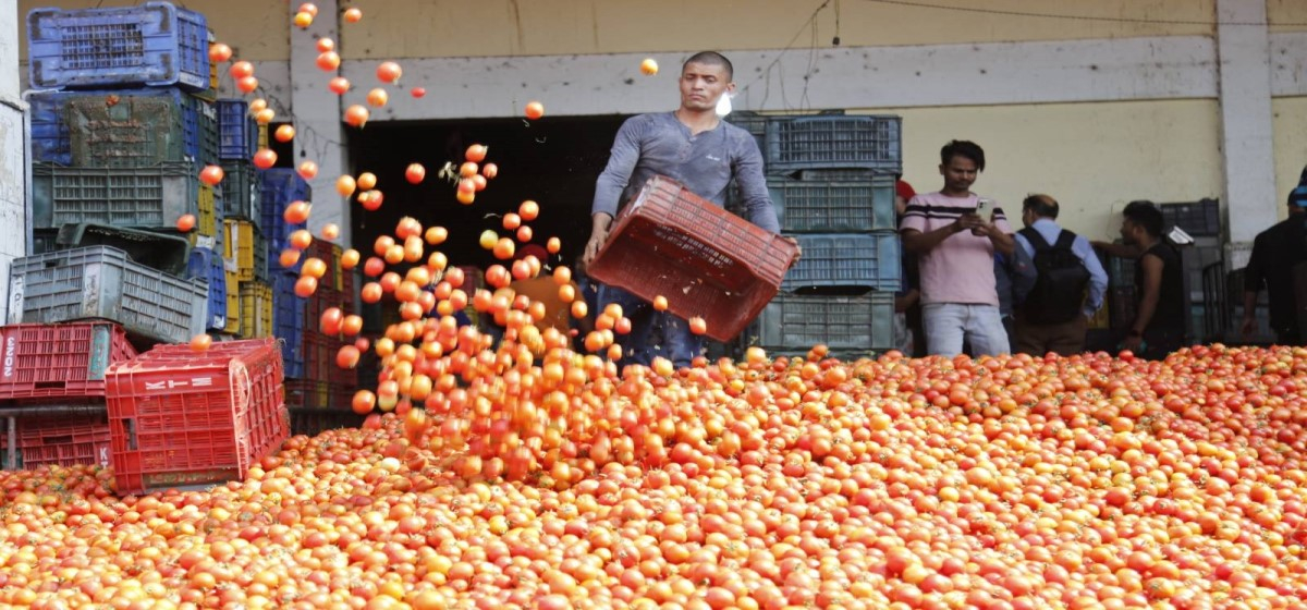 Tomatoes cost Rs 180 a kg in Pokhara