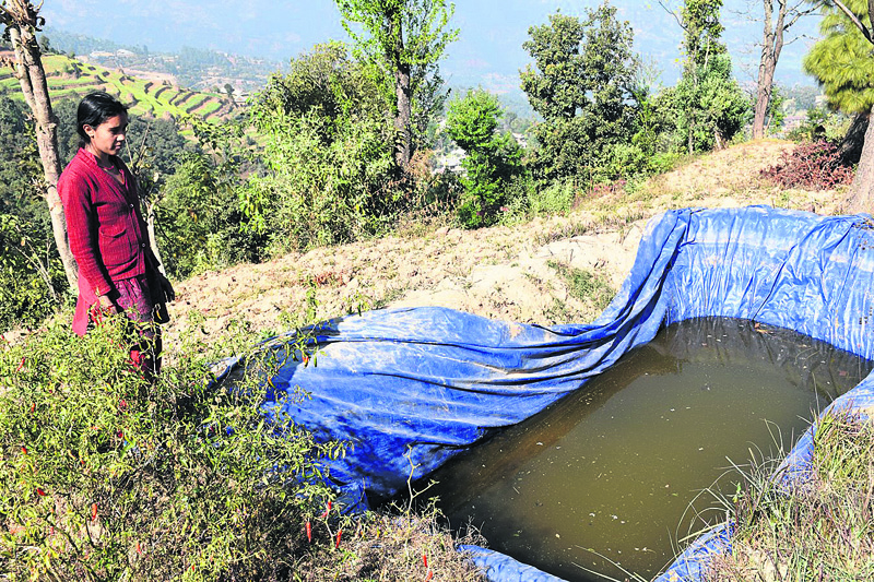 Water shortage further punishes quake victims